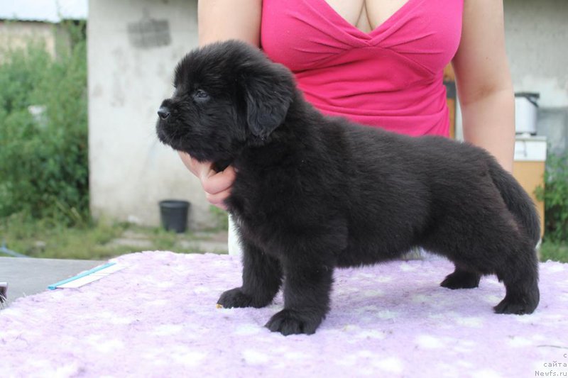 Фотография № 227631