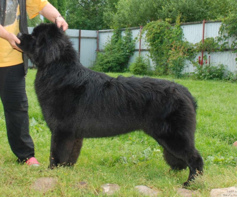 Фотография № 227656