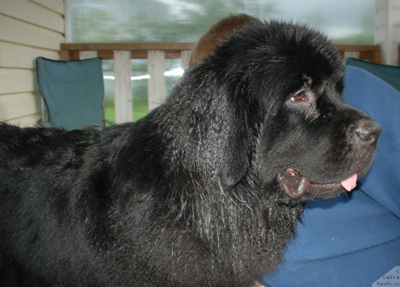 Фотография № 227657