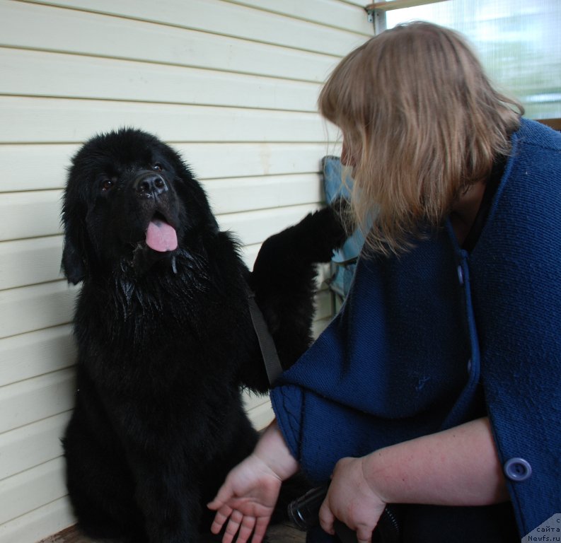 Фотография № 227658