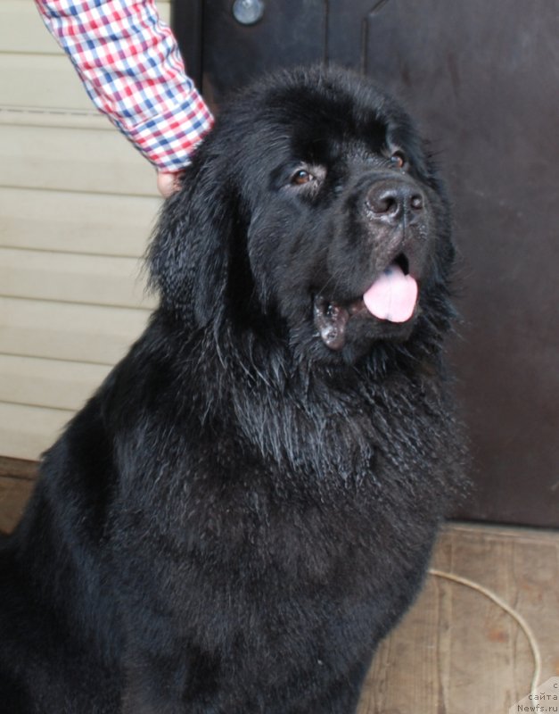 Фотография № 227659