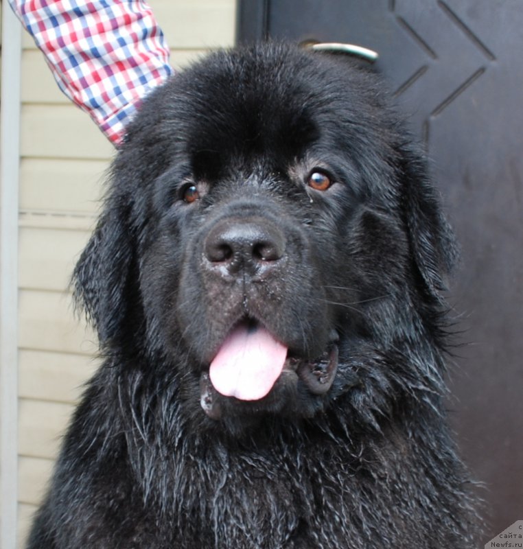 Фотография № 227660