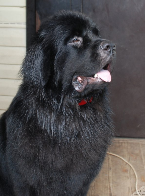 Фотография № 227661