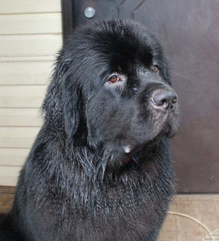 Фотография № 227662