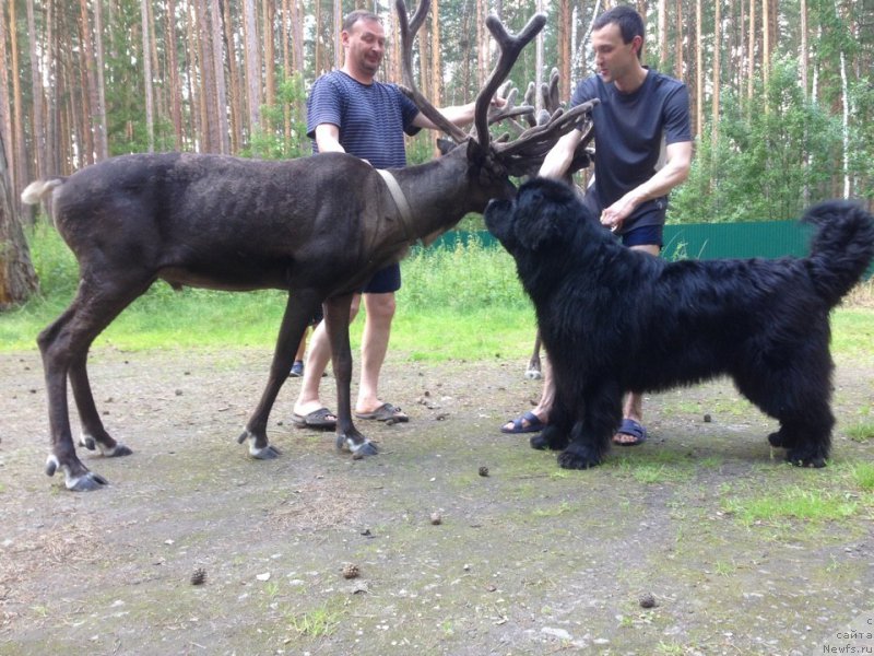 Фотография № 227666