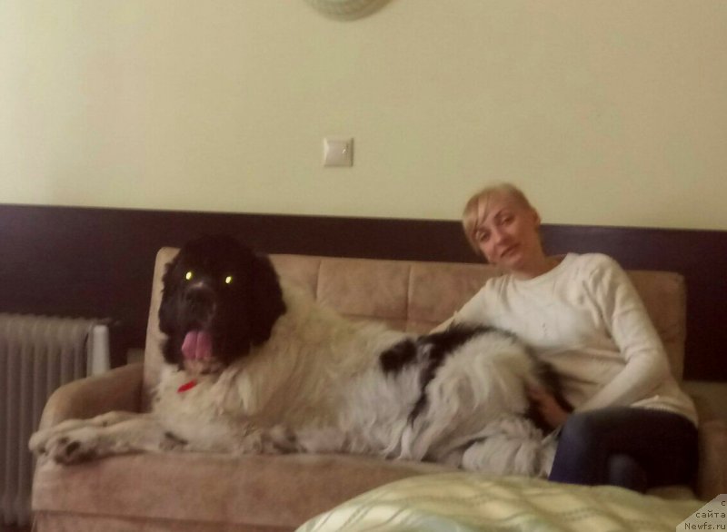 Фотография № 227682