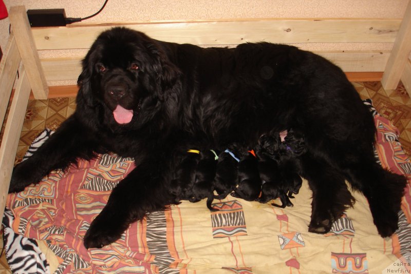 Фотография № 227686