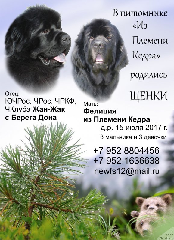 Фотография № 227687