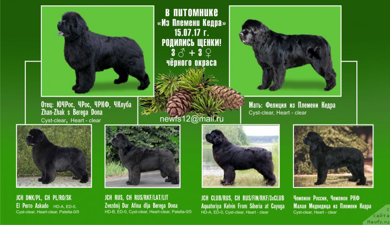 Фотография № 227688