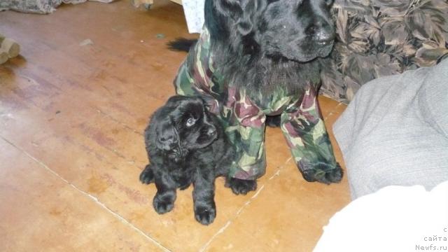 Фото: [d8249]
[f22765]