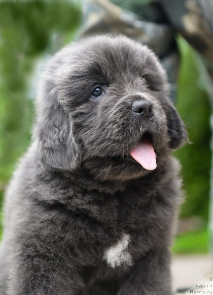 Фото: Сент Джонс Биг Стефан