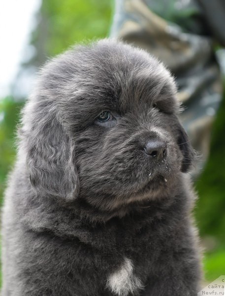 Фото: Сент Джонс Биг Стефан