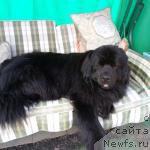 Фотография № 227771