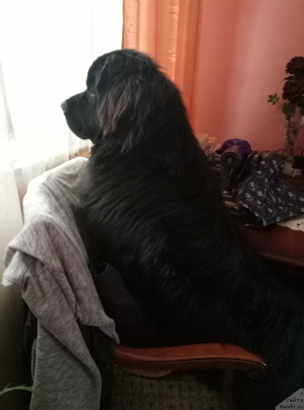 Фотография № 227772