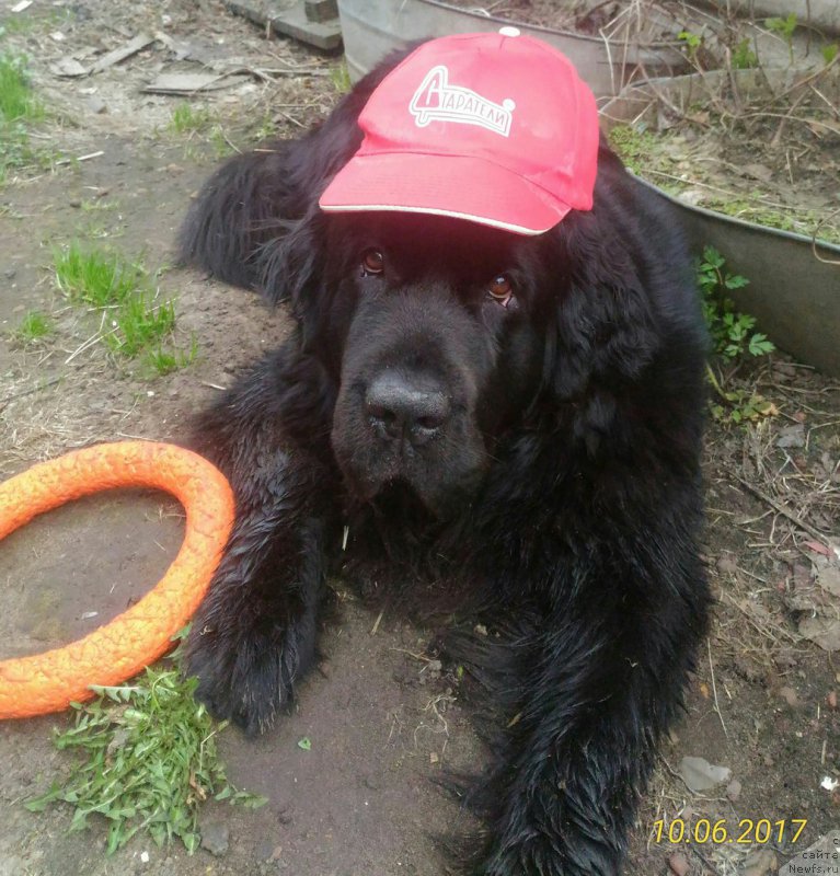 Фотография № 227775