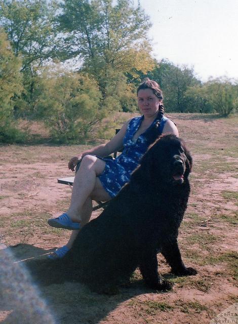 Фото: ньюфаундленд Bine-Bonita, Елена Пушкарева