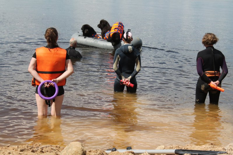 Фотография № 227802