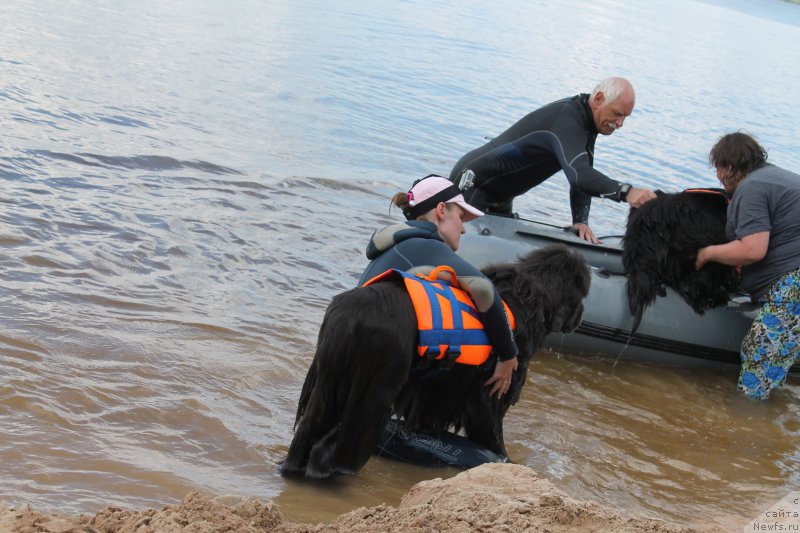 Фотография № 227805