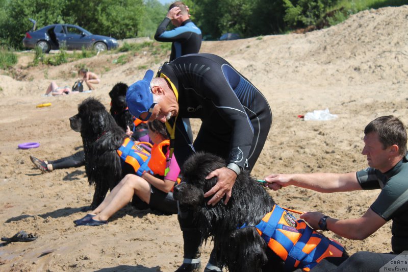 Фотография № 227809