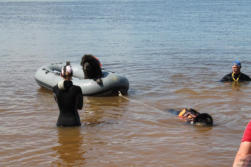 Фотография № 227814