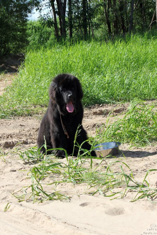 Фотография № 227828