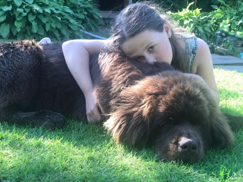 Фотография № 227832