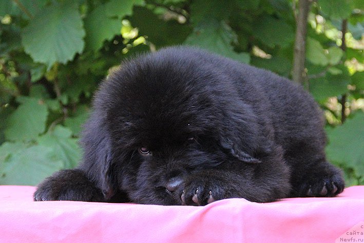 Фотография № 227836