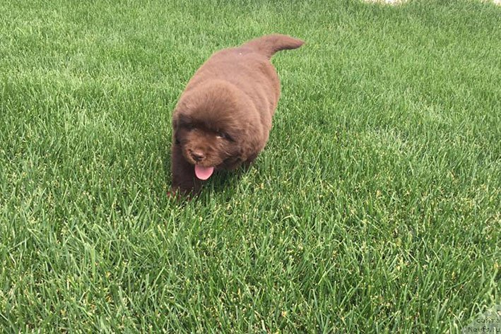 Фотография № 227843