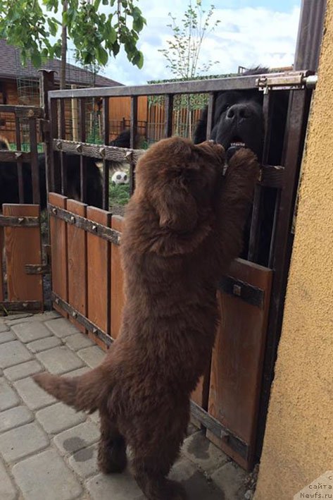 Фотография № 227844