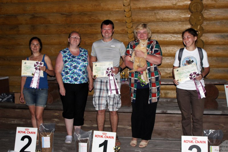 Фотография № 227846