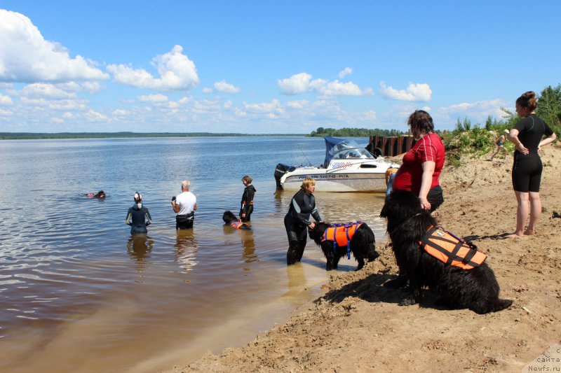 Фотография № 227854