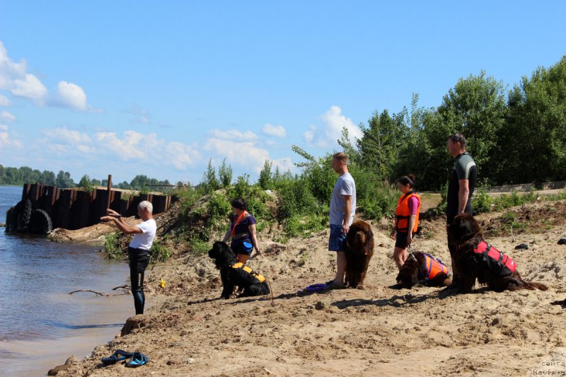 Фотография № 227855