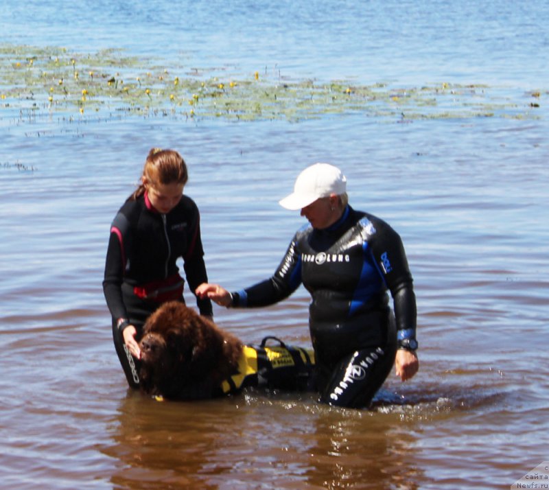 Фотография № 227884