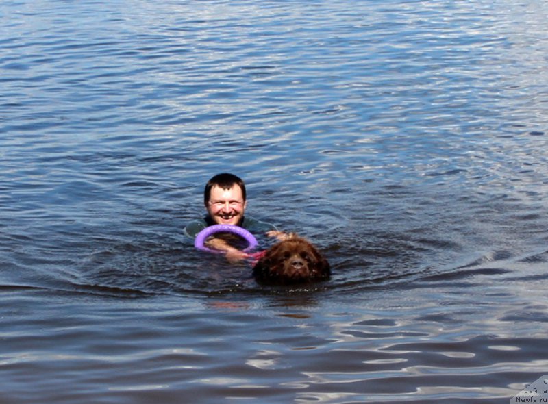 Фотография № 227890