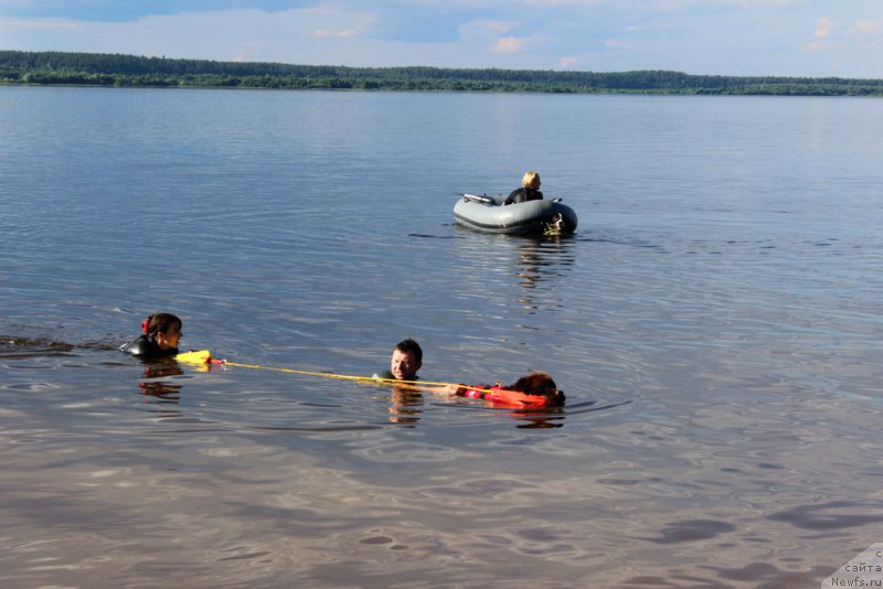 Фото: ньюфаундленд Чара Хани Лес (Chara Hani Les), Александр Черванёв