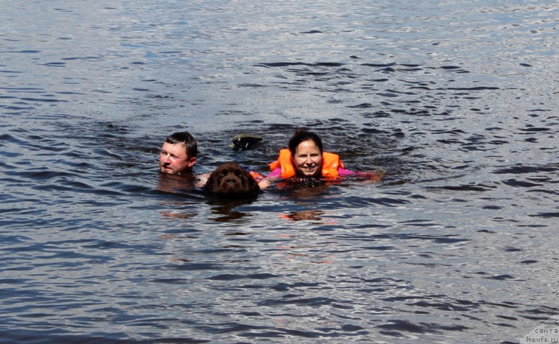 Фотография № 227903