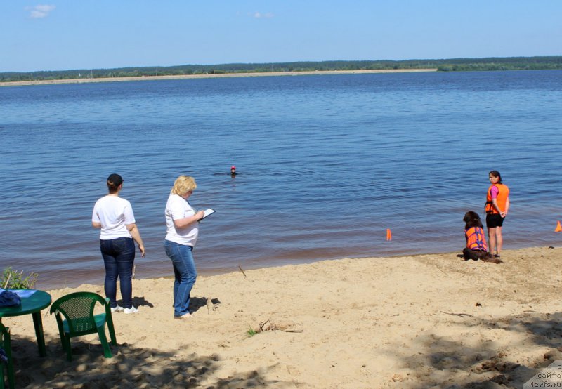 Фотография № 227905