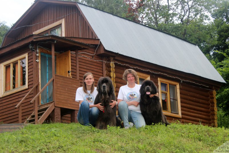 Фото: Анастасия Киреева, ньюфаундленд Дюрбахлер Клаб Альфаретта Виньетта, Анна Петрушкина, ньюфаундленд Мелти Вейв Марин Тифея (Melty Wave Marine Tifeya)
