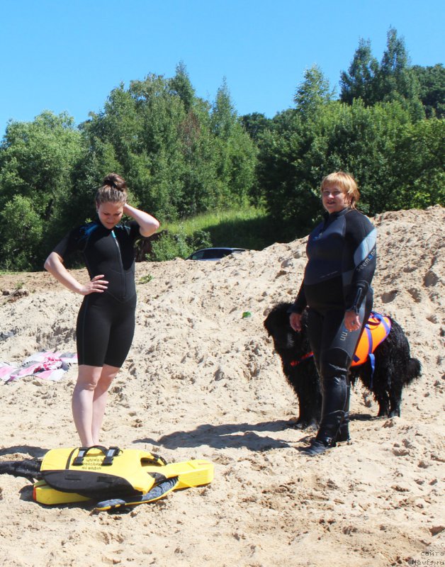 Фотография № 227934