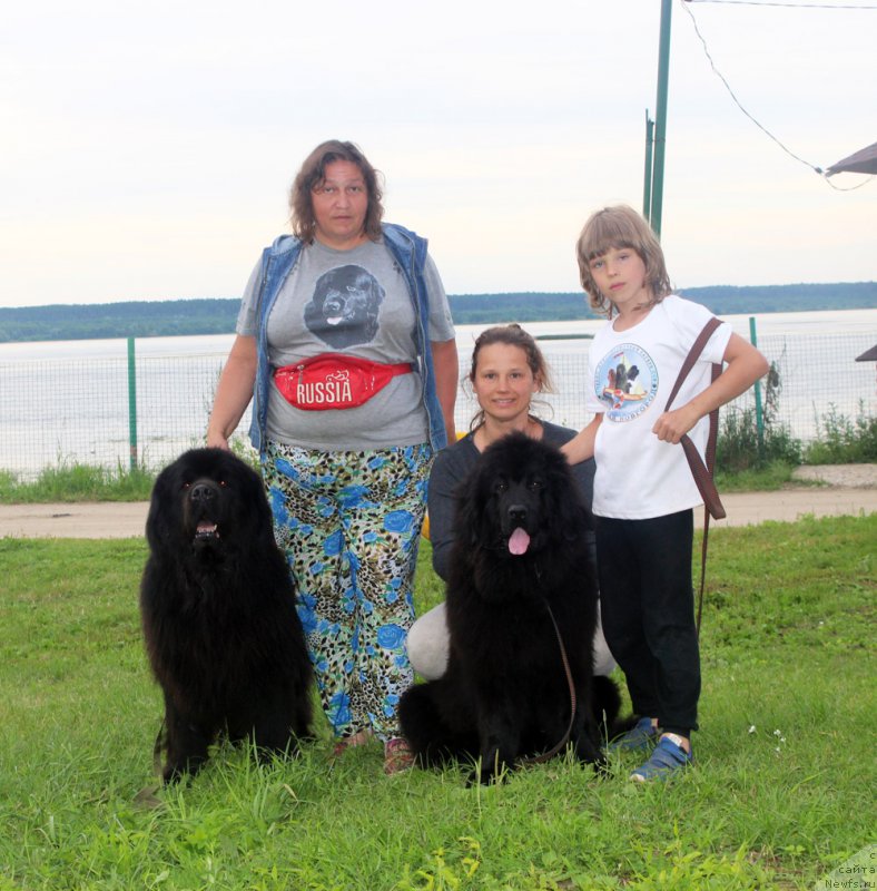 Фото: ньюфаундленд Матвей с Берега Дона (Matvey s Berega Dona), Лилиана Рахматова, ньюфаундленд Инфант Форева Янг