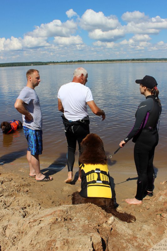 Фотография № 227951