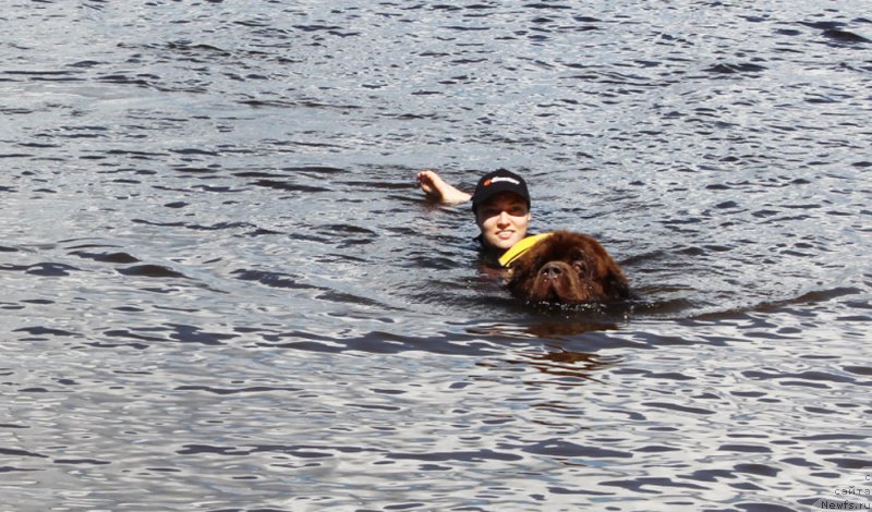 Фотография № 227952