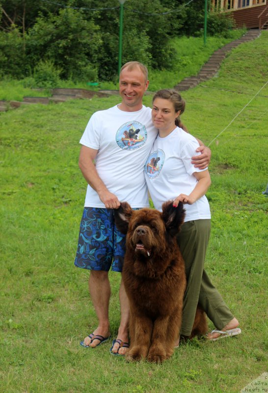 Фото: Дмитрий Самарцев, ньюфаундленд Чарли Де Бест Хелфи Пэл (Charli The Best Helfi Pel), Светлана Самарцева