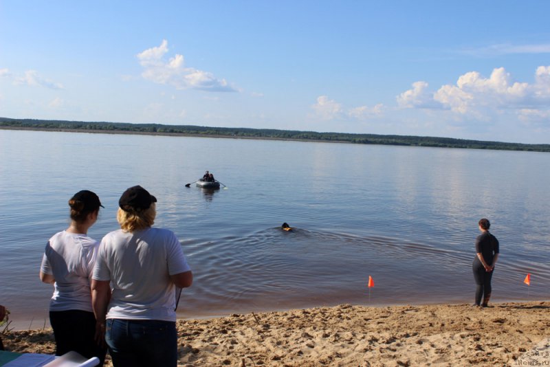 Фотография № 227962