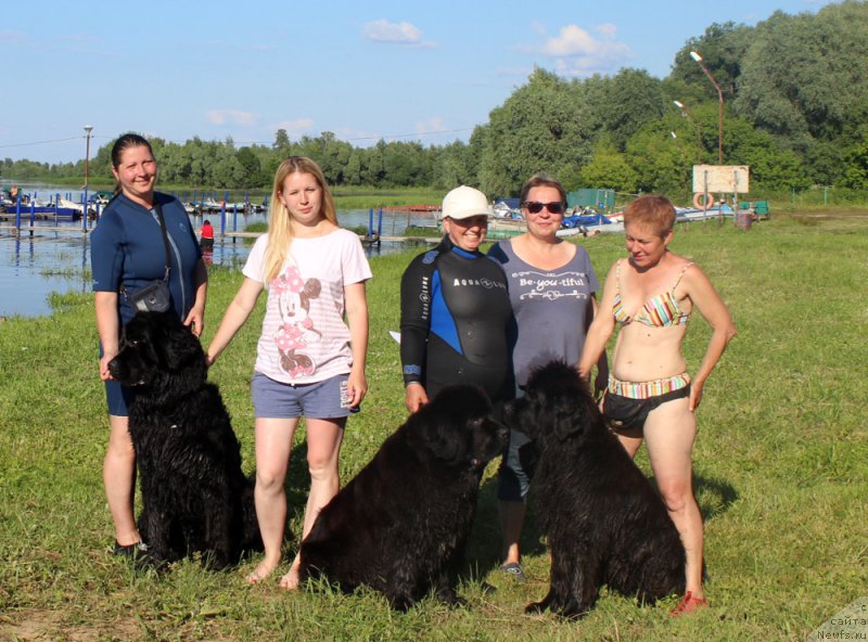 Фото: ньюфаундленд Модильяни из Антаграда (Modiliani is Antagrada), Татьяна Кадетова, ньюфаундленд Монтсеррат Кабалье из Антаграда (Montserrat Caballe is Antagrada), Татьяна Яковлева