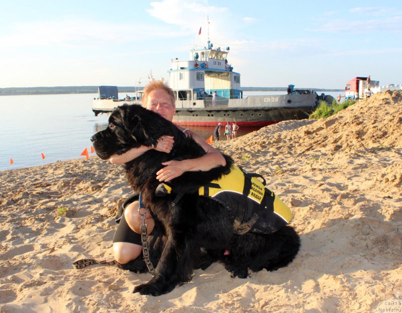 Фото: ньюфаундленд Модильяни из Антаграда (Modiliani is Antagrada), Татьяна Яковлева