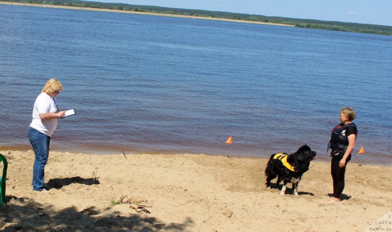 Фотография № 227987