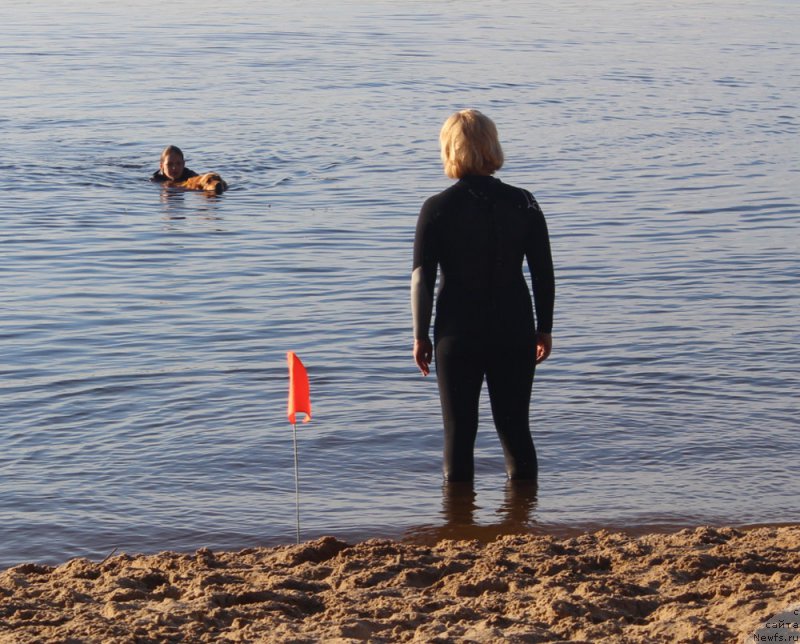 Фотография № 228001