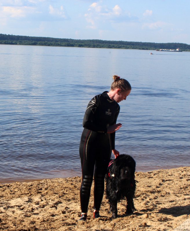 Фотография № 228014