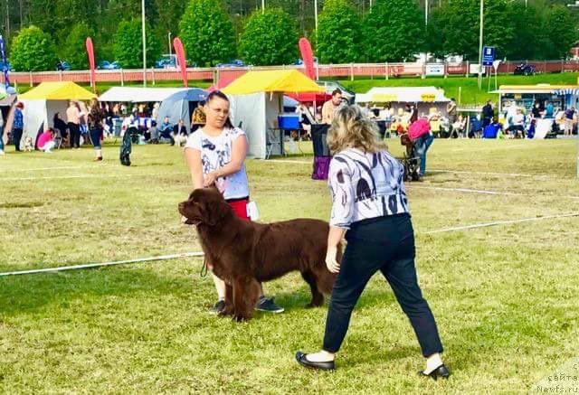 Фотография № 228044